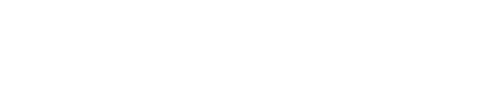 erni-logo